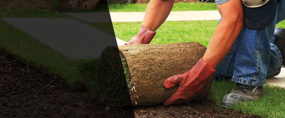 La Grange Landscapers